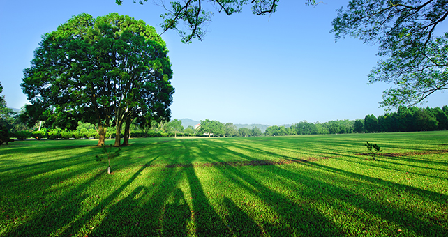 attracting environmentally conscious students