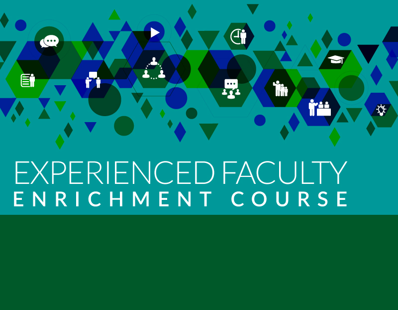 Experienced Faculty Enrichment Course