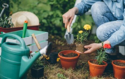 Person gardening